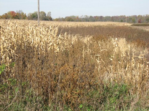 Property photo 8 - 212 Acres Offered in 6 Tracts - Selling Regardless of Price

